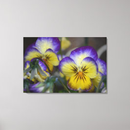 Canvas Quádrupla e Flor Amarelo