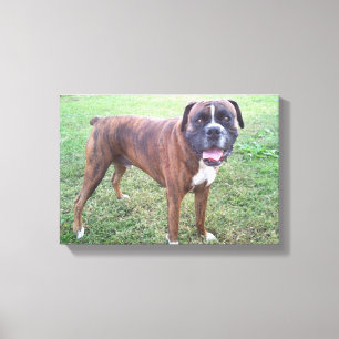 Canvas rajados da parede da foto do cão do