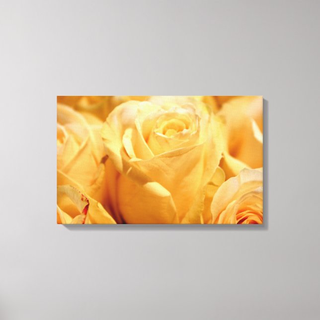 Canvas rosa (Frente)