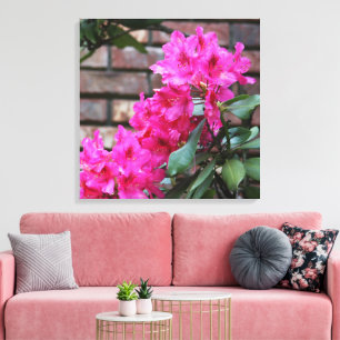 Canvas Rosa Azalea Flores