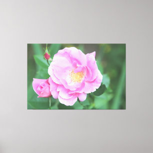 Canvas Rosa Rosa Rosa Extra Grande