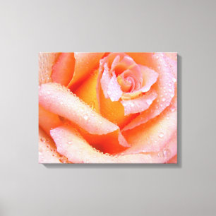 Canvas Rosa Rosa Rosa Rosa Rosa