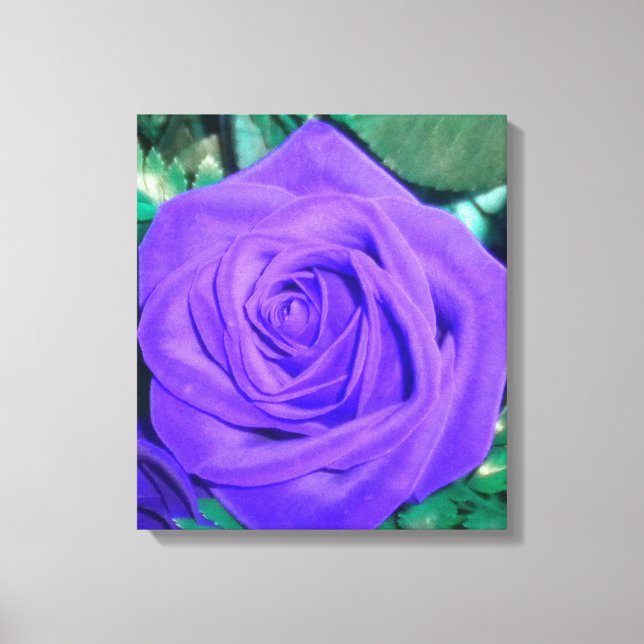 Canvas Rosa Roxo Profundo (Frente)