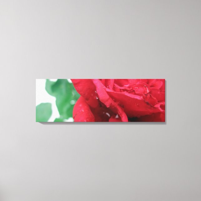 Canvas rosa vermelha (Frente)