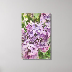 Canvas roxas antiquados do Lilac