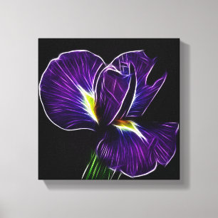 Canvas roxas da íris