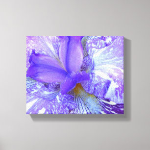 Canvas Roxo