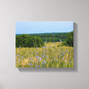 Canvas rural da Bielorrússia Paisagem rural