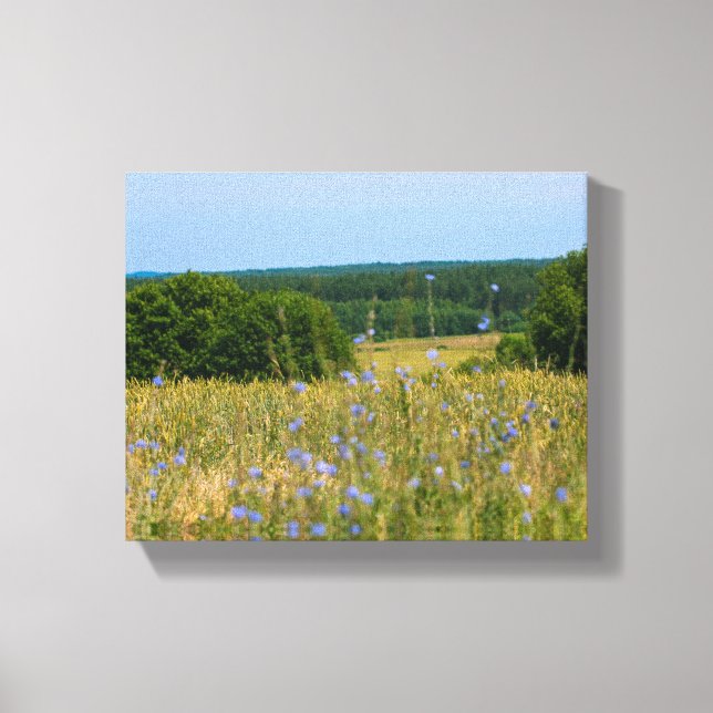 Canvas rural da Bielorrússia Paisagem rural (Frente)