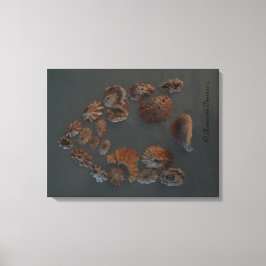 Canvas (SeaShell House) SDCescartazes ©️ 2012