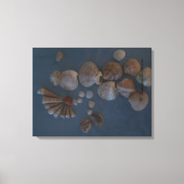 Canvas (SeaShell Lady) SDCescartazes ©️ 2012
