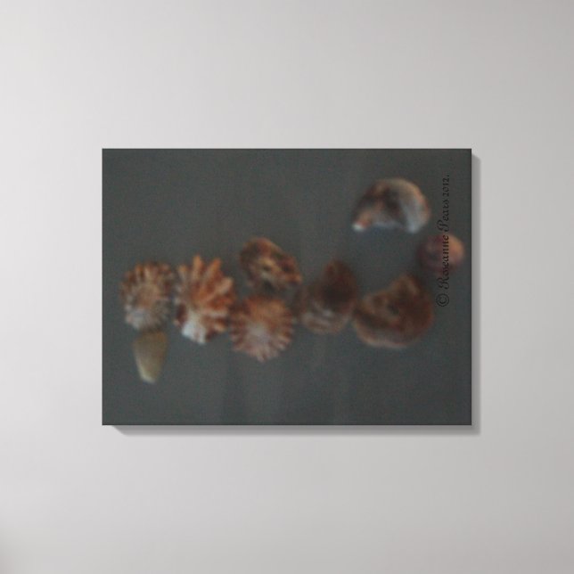 Canvas (SeaShell SeaHorse) SDCescartazes ©️ 2012 (Frente)