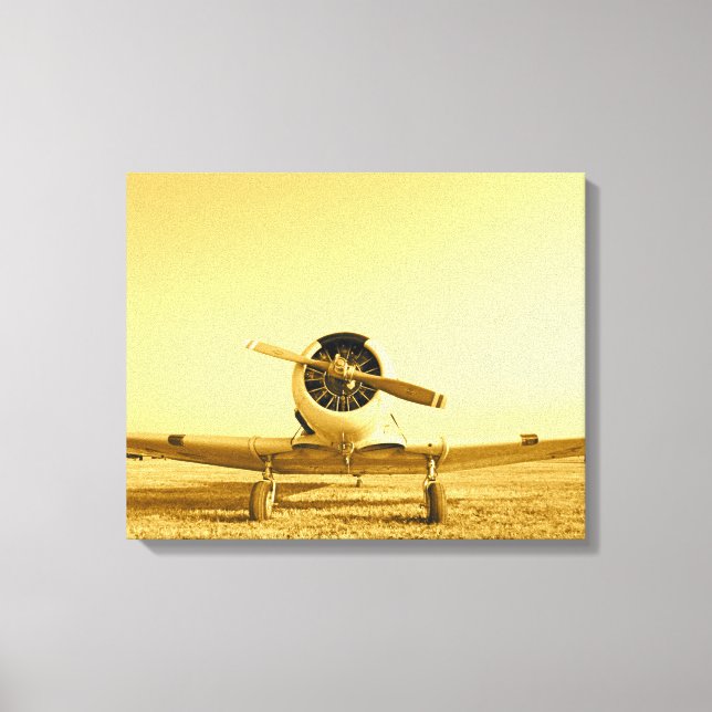 Canvas Sépia Antiaérea Wings (Frente)