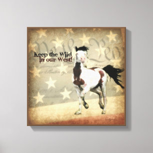 Canvas Shaman South Steens