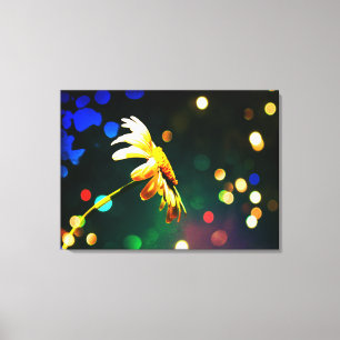Canvas Shasta Daisy Sparkle