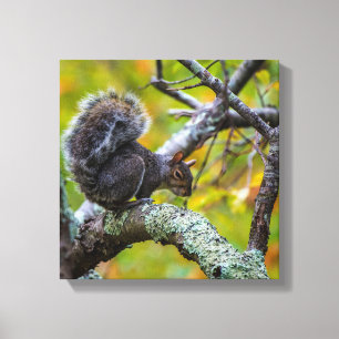 CANVAS SINISTER SQUIRREL