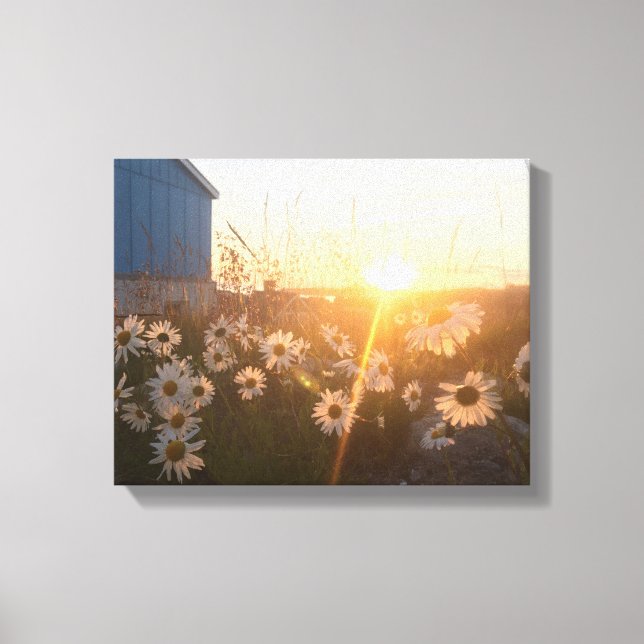 canvas solar árctica (Frente)