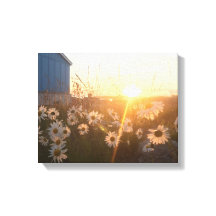 canvas solar árctica