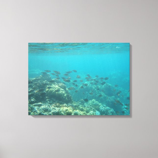 Canvas subaquática de cenas tropicais (Frente)