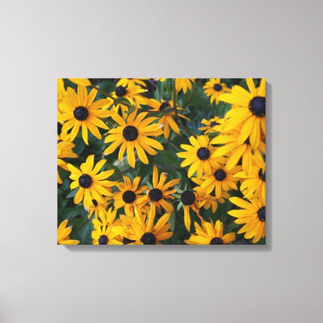 Canvas Susan Flowers de olhos negros (Frente)