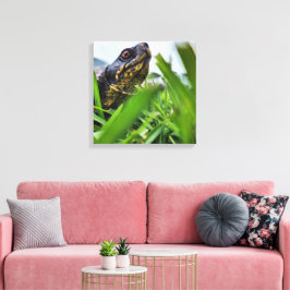 Canvas Tartaruga Fechar