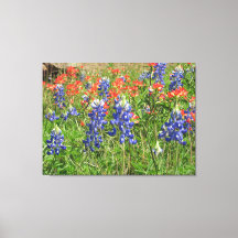 Canvas Texas Wildflower Bluebonnets Paintbrushes