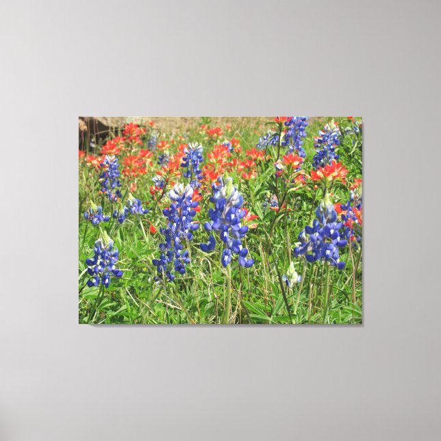 Canvas Texas Wildflower Bluebonnets Paintbrushes (Frente)
