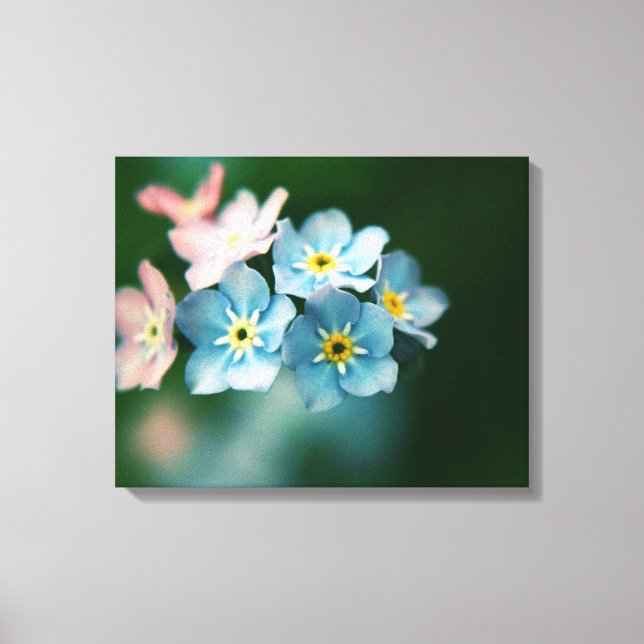 Canvas "The Cry" (Frente)