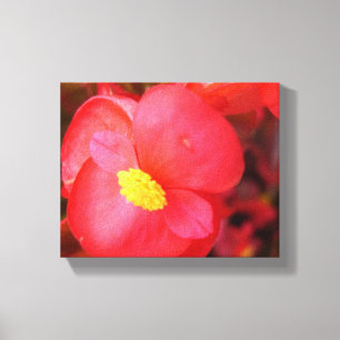 Canvas vermelhas da flor