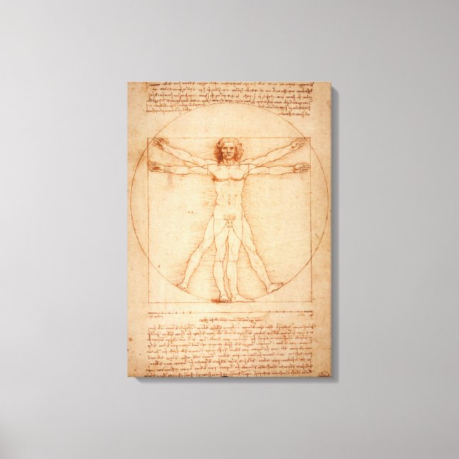 Canvas Vitruvian Man por Leonardo da Vinci (Frente)