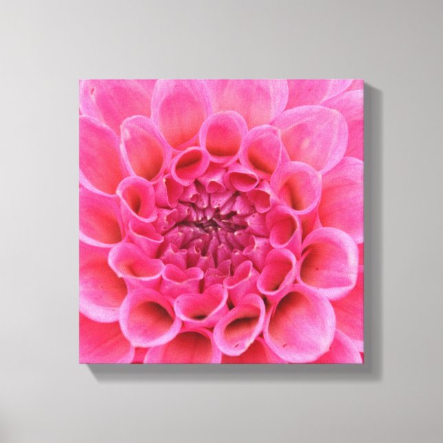 canvas x 12 pol de 12 pol - Flor rosa (Frente)