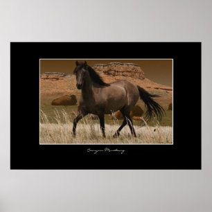 CANYON MUSTANG Horse Conservation Art Impressão