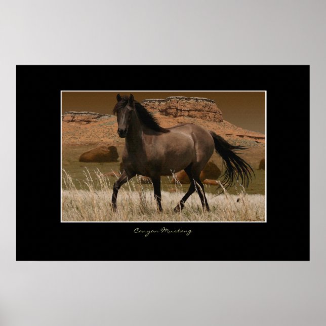 CANYON MUSTANG Horse Conservation Art Impressão (Frente)