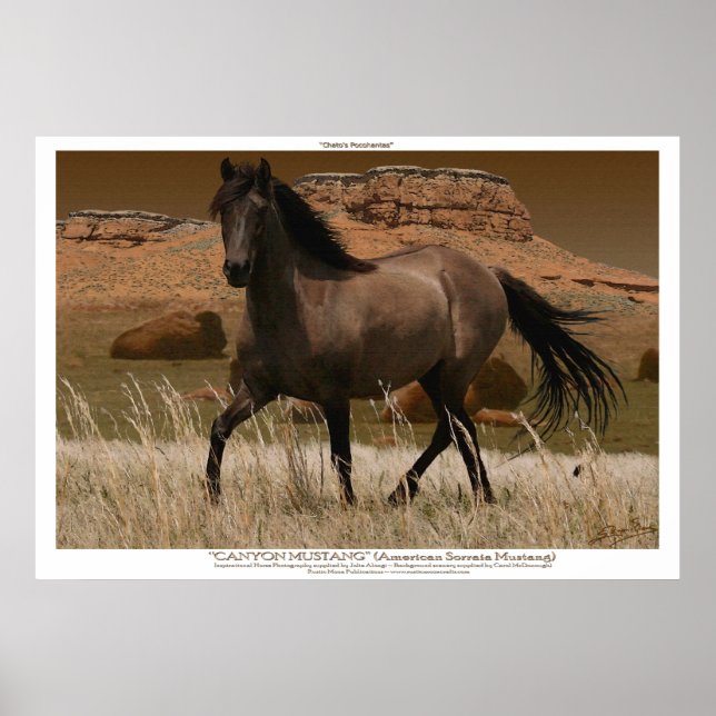 CANYON MUSTANG Horse Conservation Art Impressão (Frente)