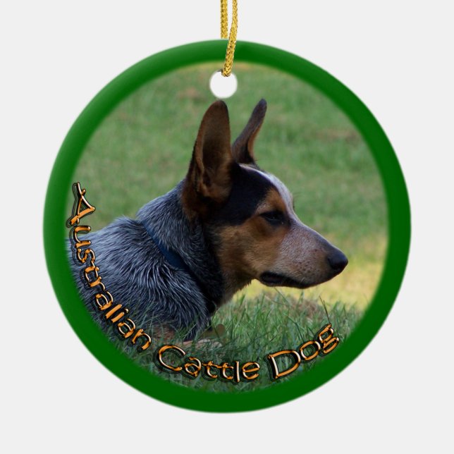 CÃO AUSTRALIANO DO GADO - HEELER AZUL - ORNAMENTO (Frente)