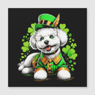 Cão Bichon Frise Dia de São Patrício