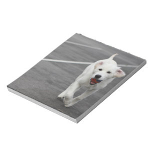 Cão bonito em um bloco de notas