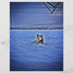 cão bonito na neve