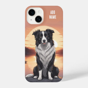 Cão Border Collie