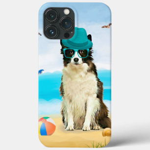Cão Border Collie na Praia