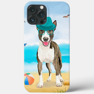 Cão Bull Terrier na Praia