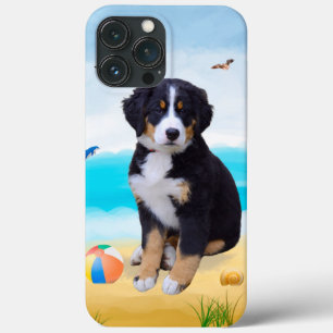 Cão da Montanha Bernese na Praia