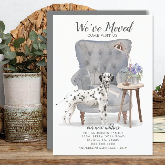 Cão Dalmático | Anúncio de mudança (Criador carregado)