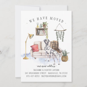 Cão Dalmático Anúncio de mudança