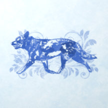 Cão-de-Boca-Colo Azul-Grungão