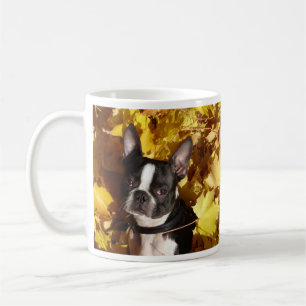 Cão de Boston Terrier cercado pela caneca das