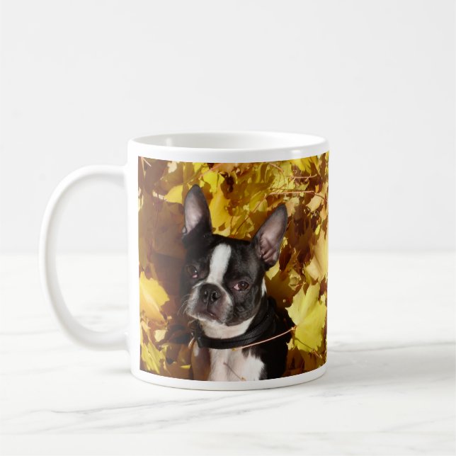 Cão de Boston Terrier cercado pela caneca das (Esquerda)