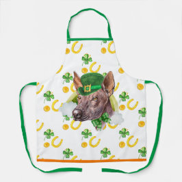 Cão de Dia de São Patrício de Natal Xoloitzcuintle