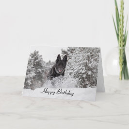 Cão de german shepherd do cartão de aniversário na
