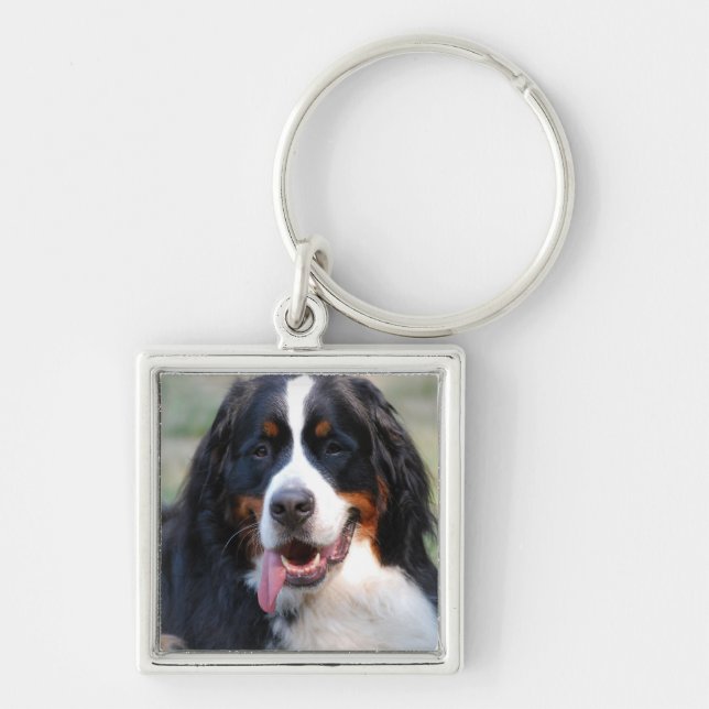 Cão de montanha de Bernese com o chaveiro grande (Frente)